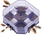 Cockroach Trap - Perangkap Kecoa Kecoak Pembasmi Serangga Hama 1